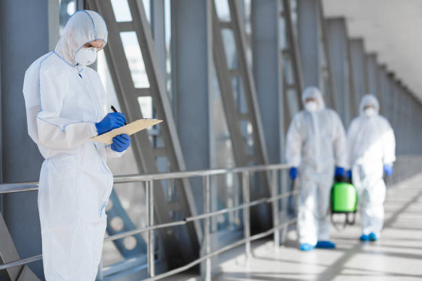 Best Asbestos and Lead Testing During Mold Inspection  in Marion, NC