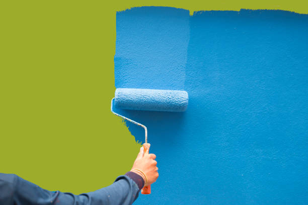 Trusted Marion, NC Mold Removal Experts