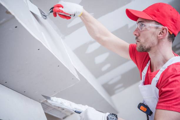 Best Post-Construction Mold Inspection  in Marion, NC